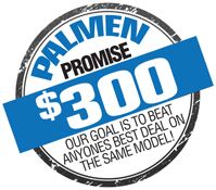 Palmen Promise