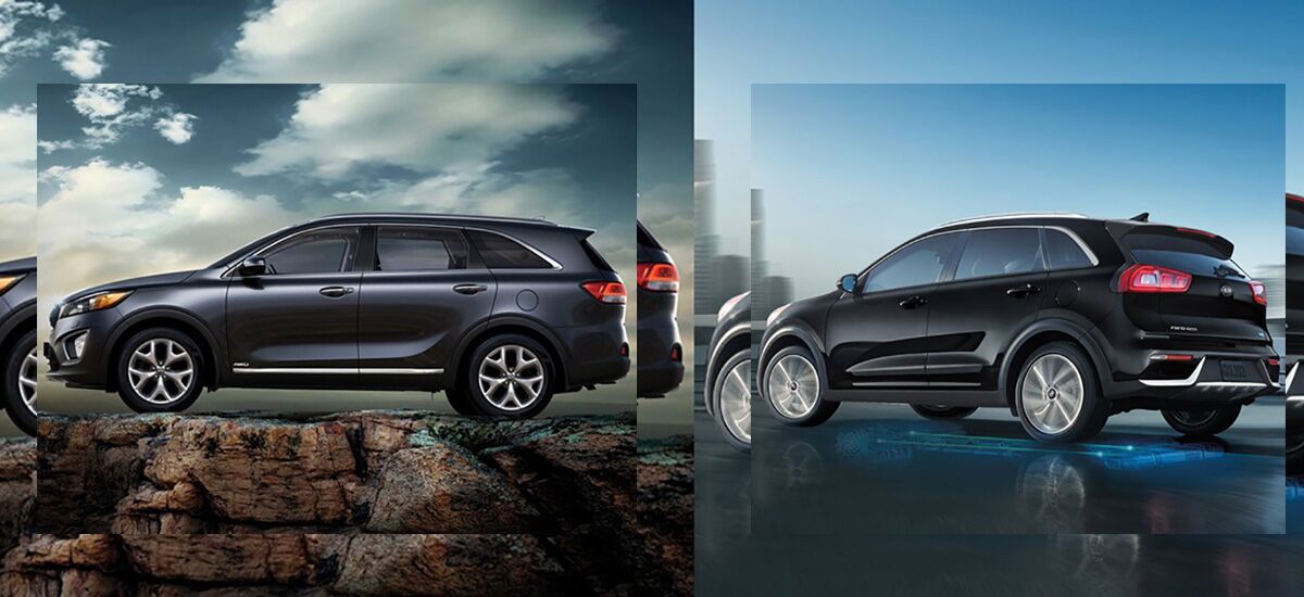 Differences Between the 2018 Kia Niro and Kia Sorento