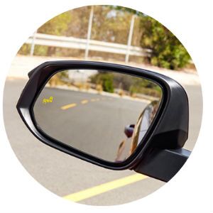 Does the 2017 Toyota RAV4 have a blind spot monitor?