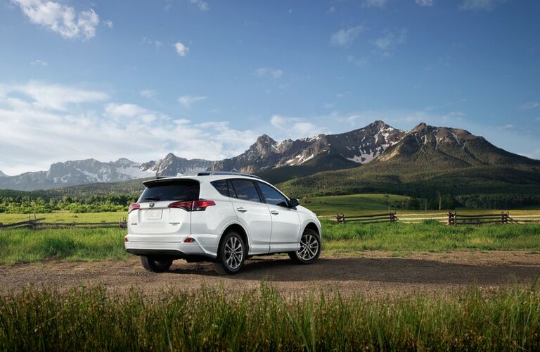 2017 Toyota RAV4 rearview