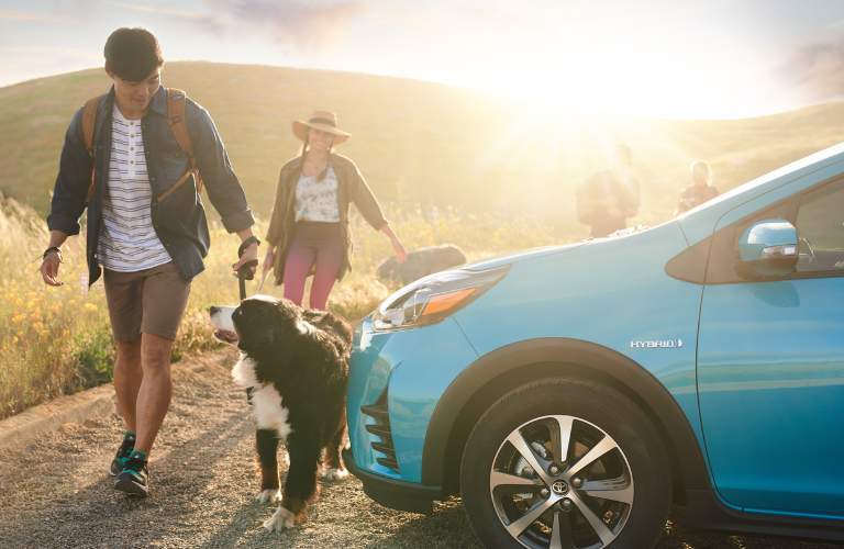 2018 prius c and dog