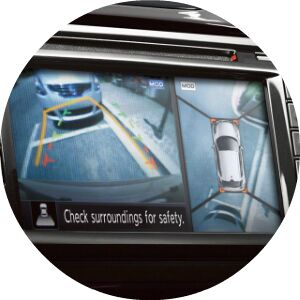 2017 Juke Around View Monitor