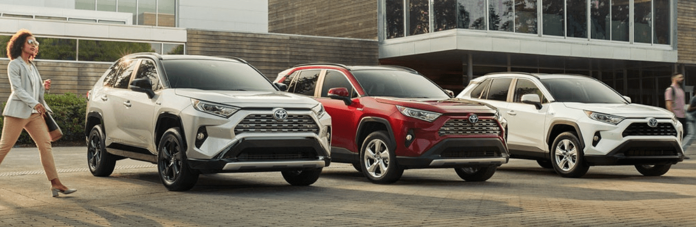 2019 Toyota RAV4 Hybrid parked next to each other