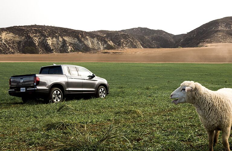 2017 honda ridgeline vs 2016 toyota tacoma towing capacity