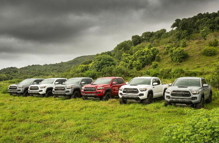 Color Options for the 2017 Toyota Tacoma TRD Pro