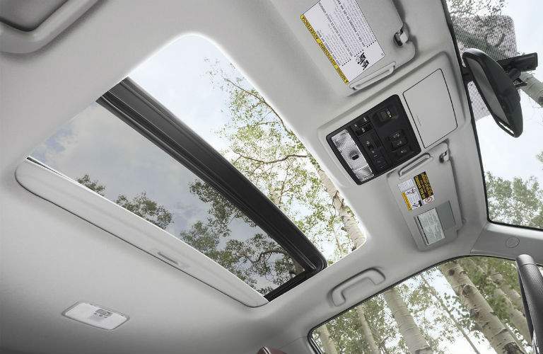 Looking out the sun roof of the 2018 Toyota 4Runner