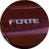 2017 Kia Forte S Trim