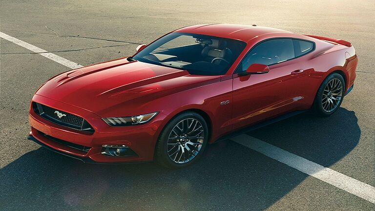 Ford Mustang Tampa FL