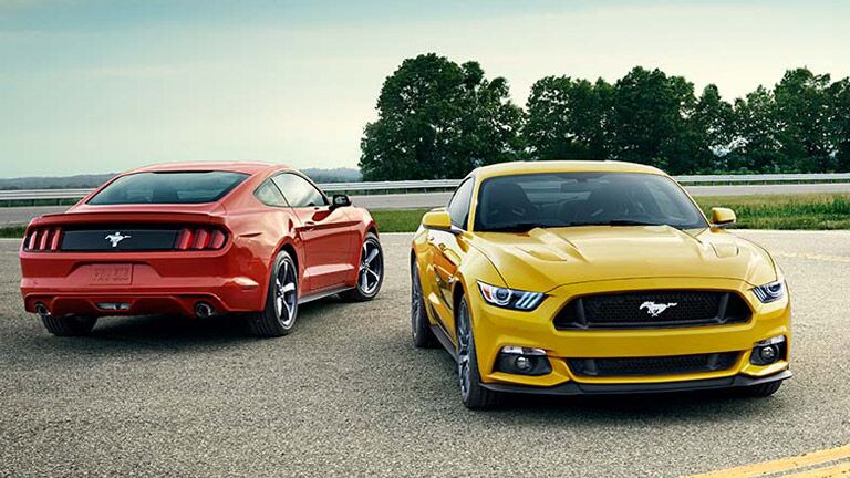 The 2015 Ford Mustang Tampa, FL