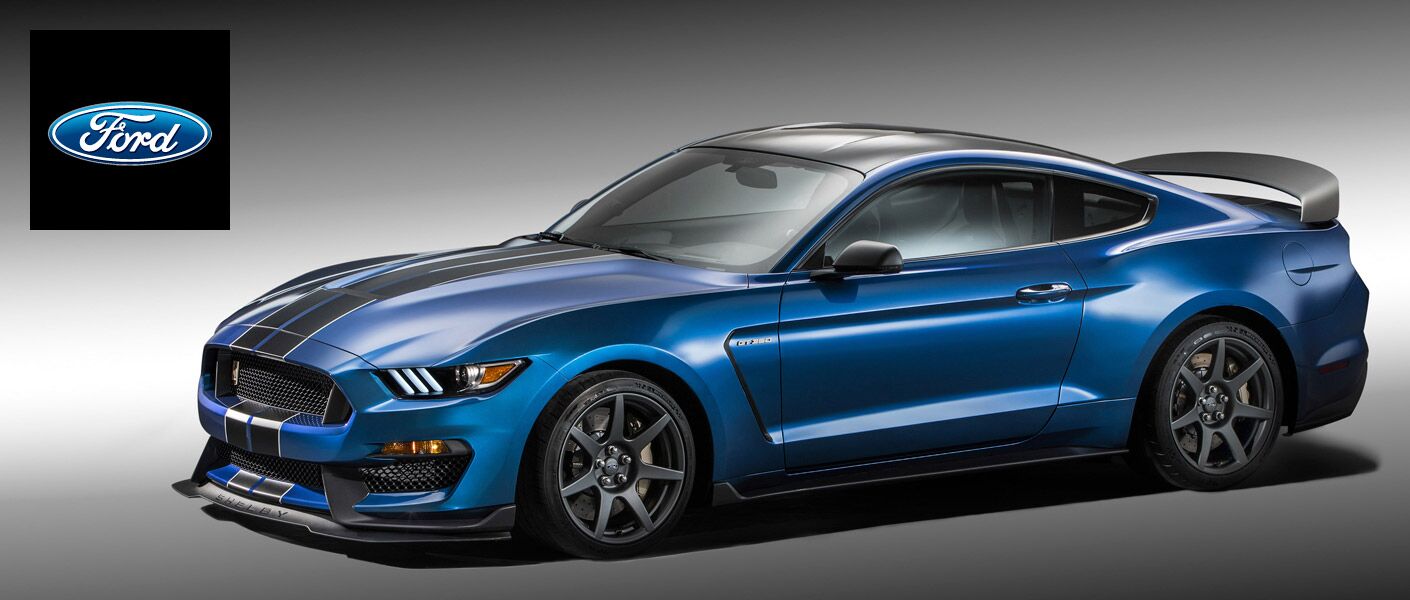 16 Ford Mustang Shelby Gt350 In Tampa Fl