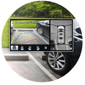 Does the Kia Sedona have a rear view camera?