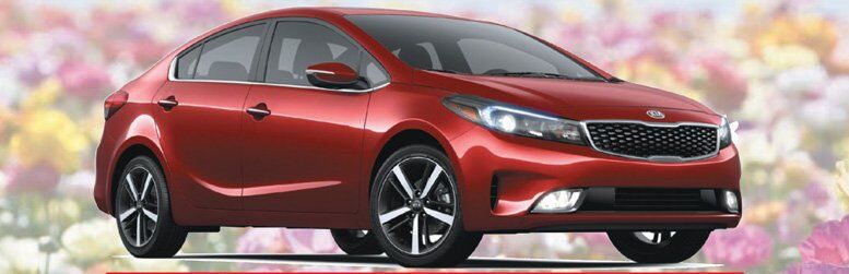 Houston Texas Kia Dealership Archer