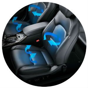 Does the 2016 Kia Cadenza ventilated seats?
