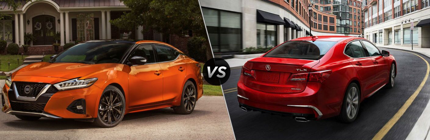 Nissan Maxima Vs Acura Tlx