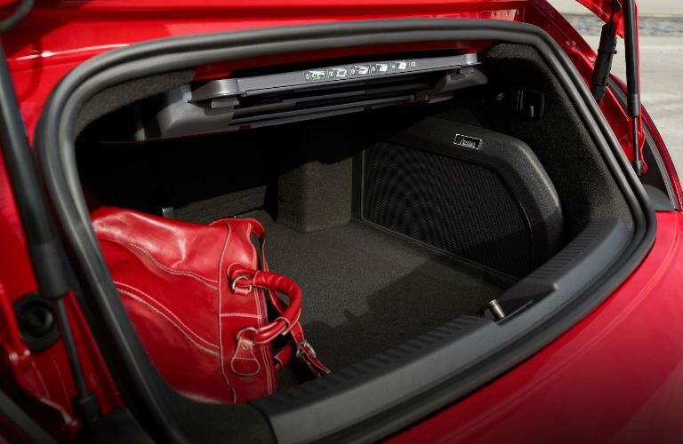 Trunk