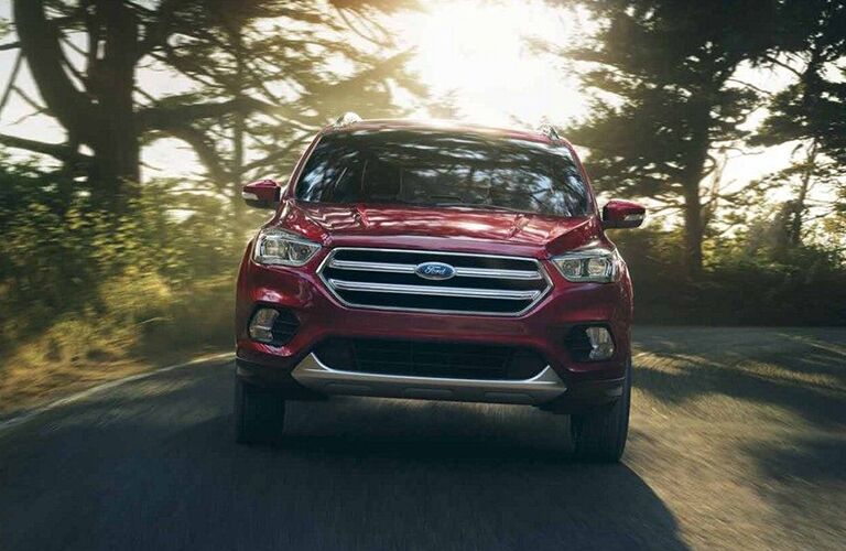 2019 Ford Escape driving down a road amidst leafy greenery and sunshine, exterior front view.