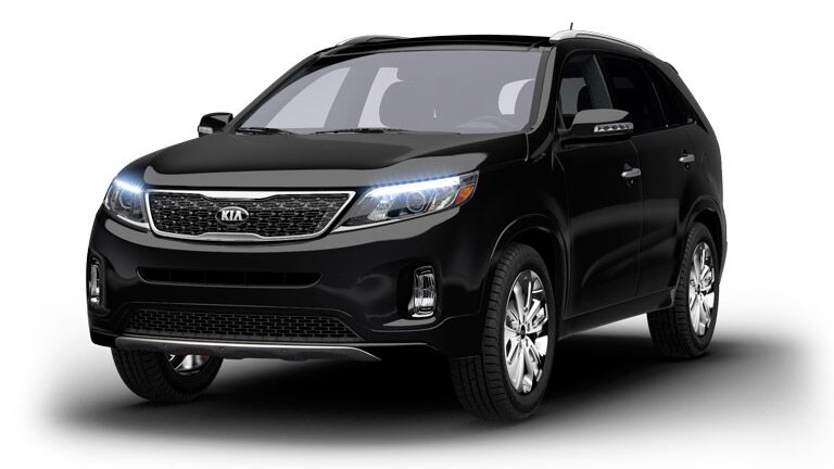 2016 Kia Sorento Spring Hill Tampa Clearwater FL sumatran rhinoceros panther