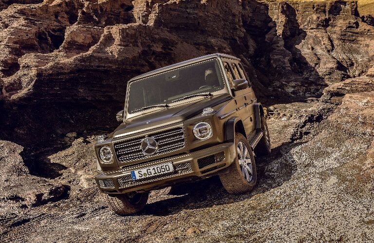 2019 Mercedes-Benz G-Class in Brown