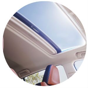 Does the 2017 RAV4 have a moonroof?