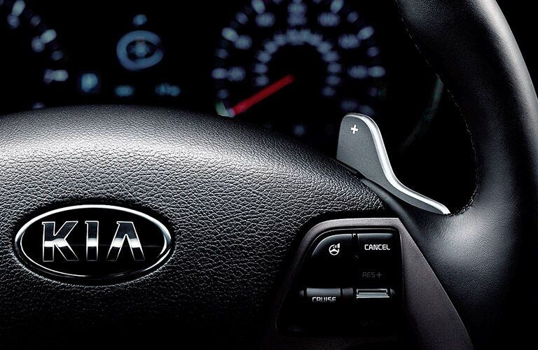 2016 Kia Forte5 steering wheel mounted controls