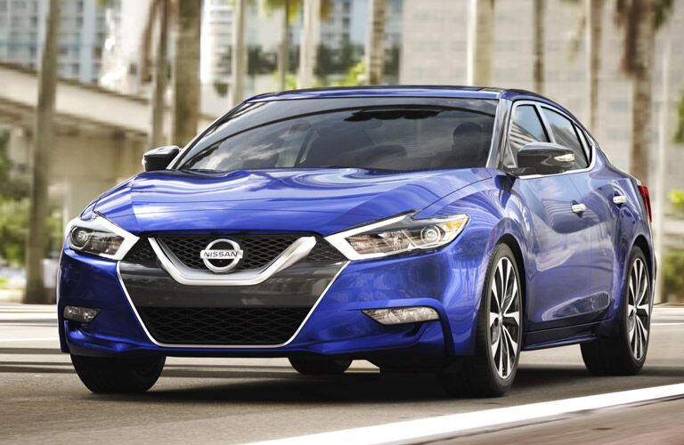 2017 Maxima in Blue