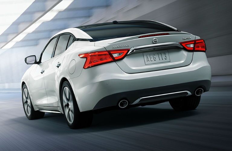 Maxima rear view
