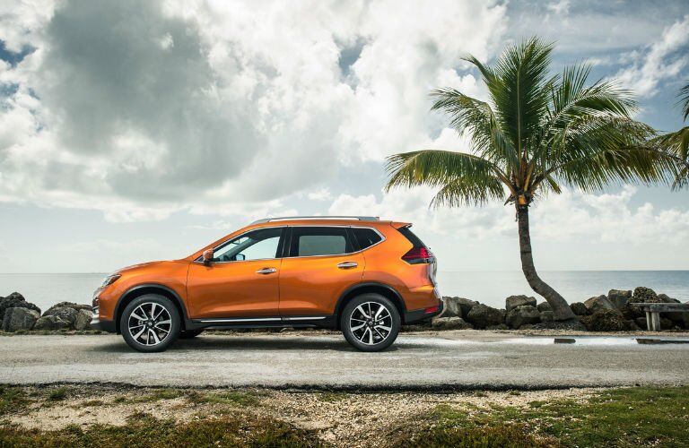 Rogue in Orange