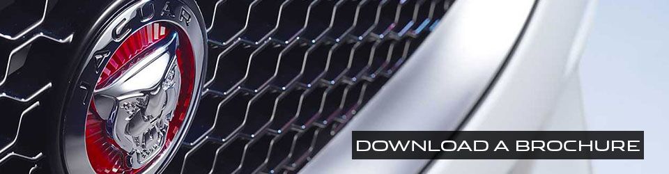 Download a Brochure
