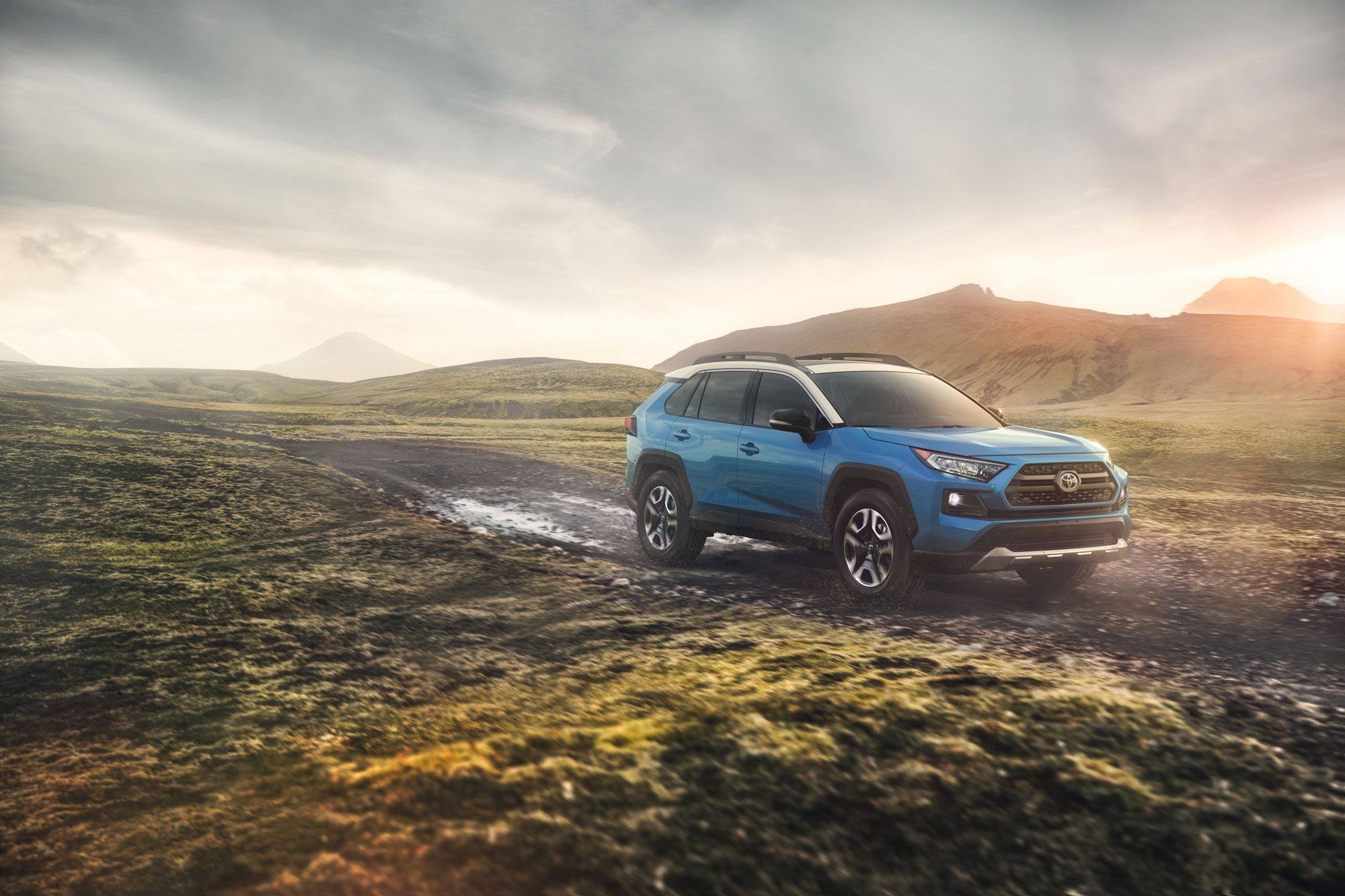 Image of a blue 2019 Toyota RAV4 parked in a prarie landscape.