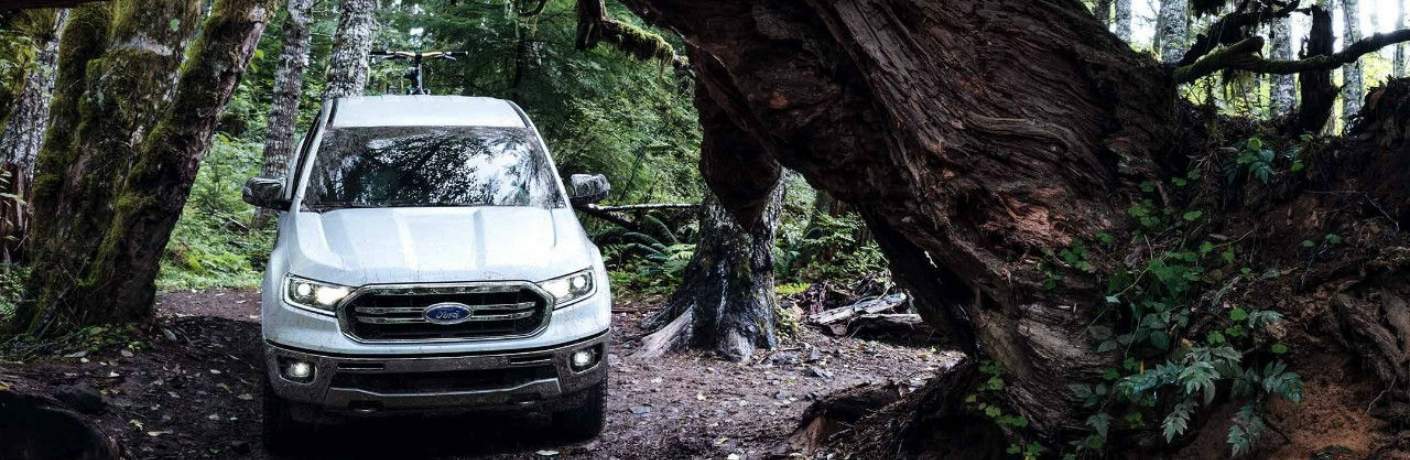 2019 Ford Ranger Driving Through a Tree