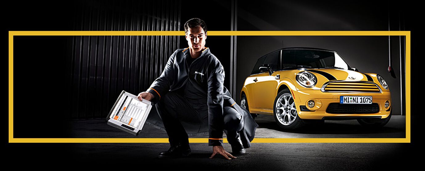 Services/Inspection
