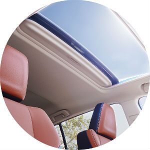 premium features in the 2017 toyota rav4