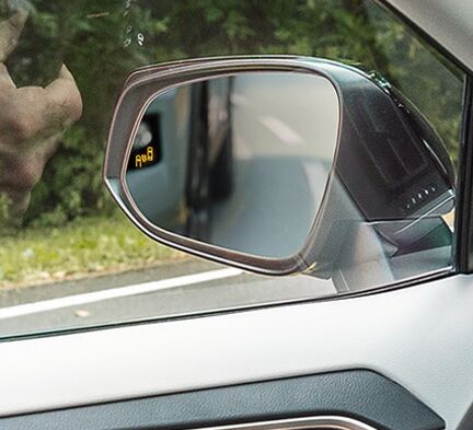 Blind Spot Monitor with Rear Cross-Traffic Alert