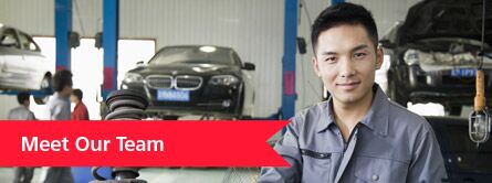 meet the fox toyota team