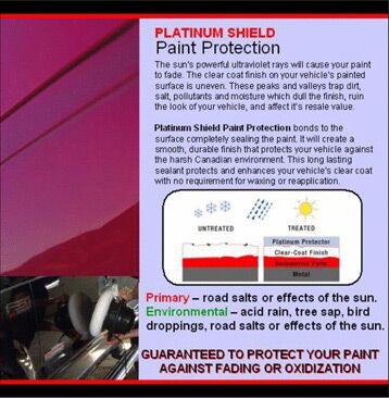 Vehicle Protection