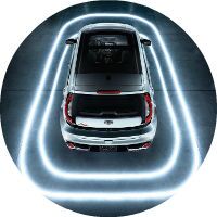 2017 Kia Soul Garden Design