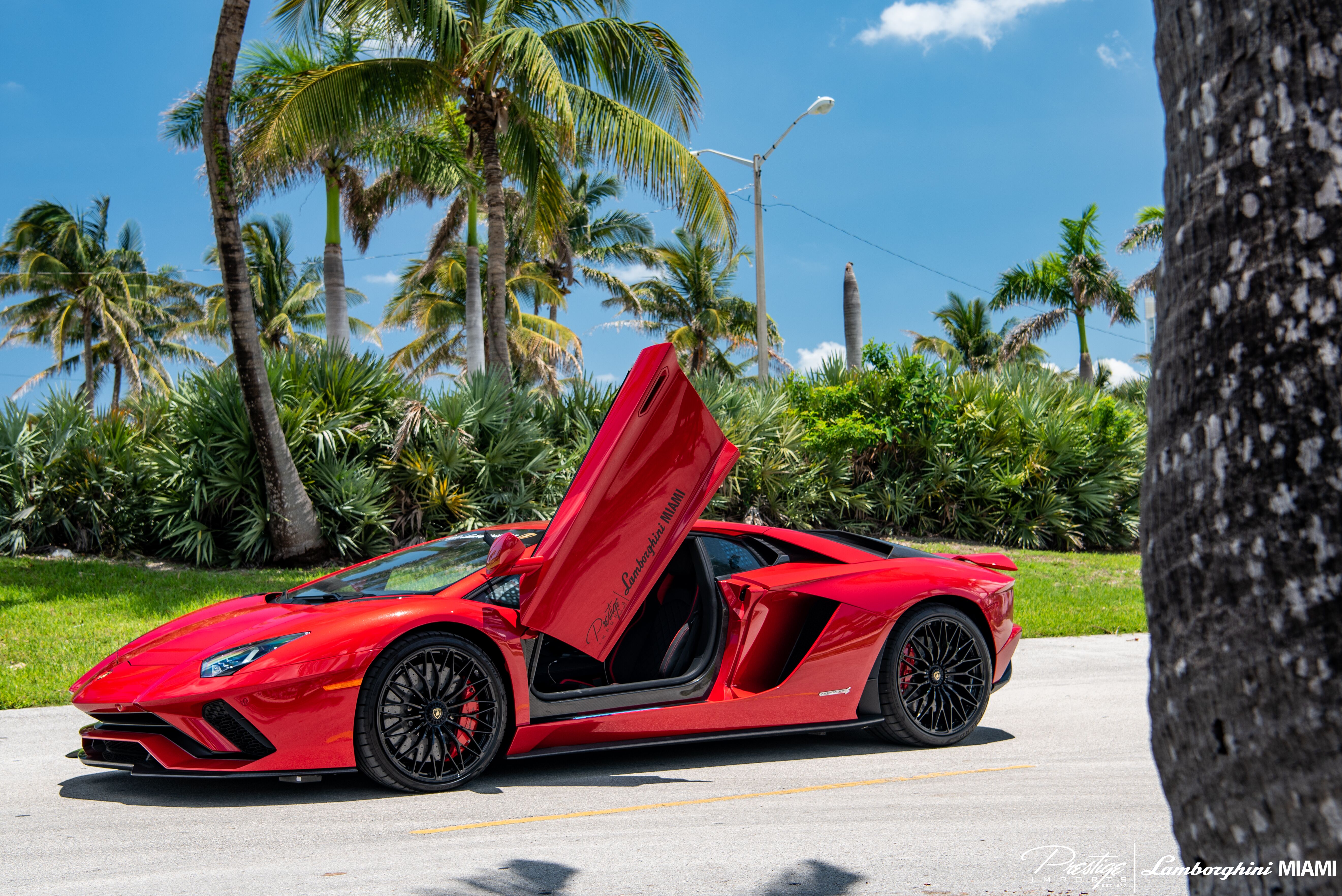 Lamborghini Aventador North Miami Beach Fl