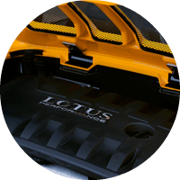 Lotus Hialeah FL