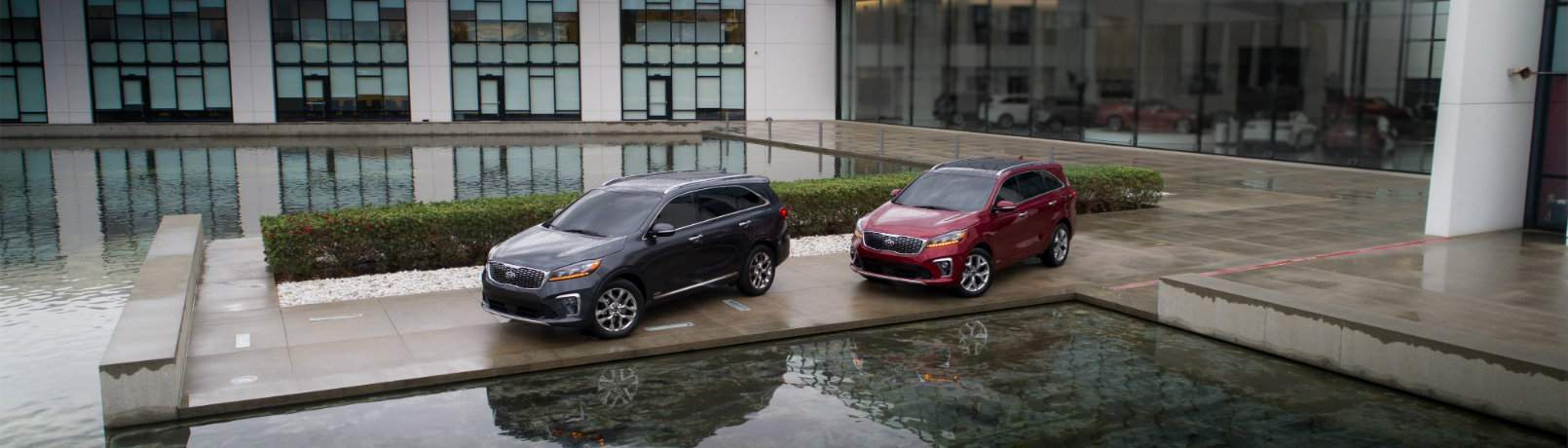 Two 2019 Kia Sorento models near a pool downtown