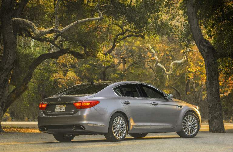 The trunk space in the 2017 K900 is one of the largest in the class