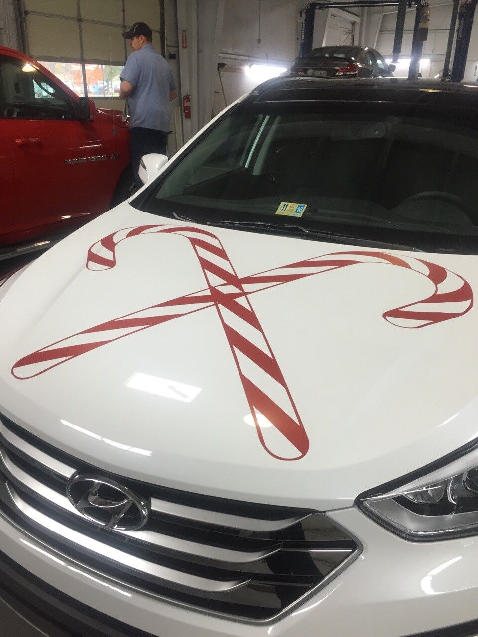 Window Tint and Wrap
