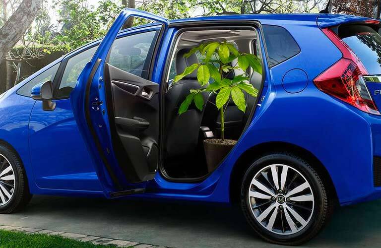 2017 Honda Fit EX-L with a potted plant in the rear seat