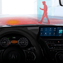 Pedestrian Detection