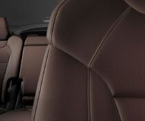 Leather Interior