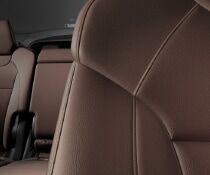 Leather Interior