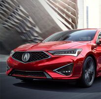 A Fierce Exterior