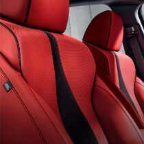 Leather-Trimmed Interior