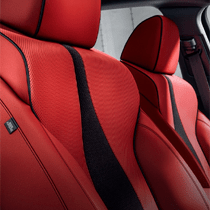 Leather-Trimmed