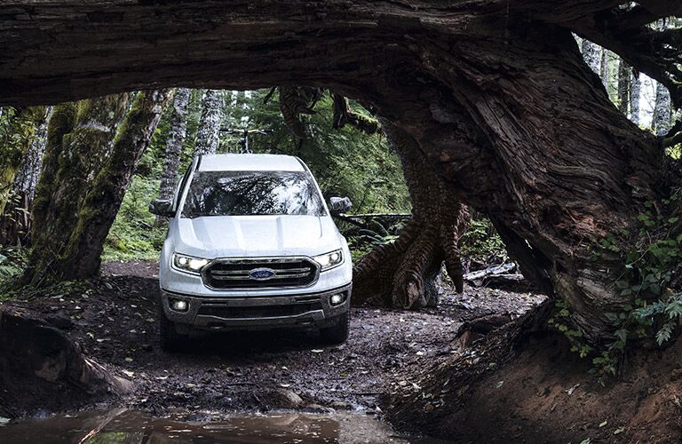 2020 Ford Ranger adventuring under a tree