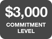 $3,000 Commitment Level